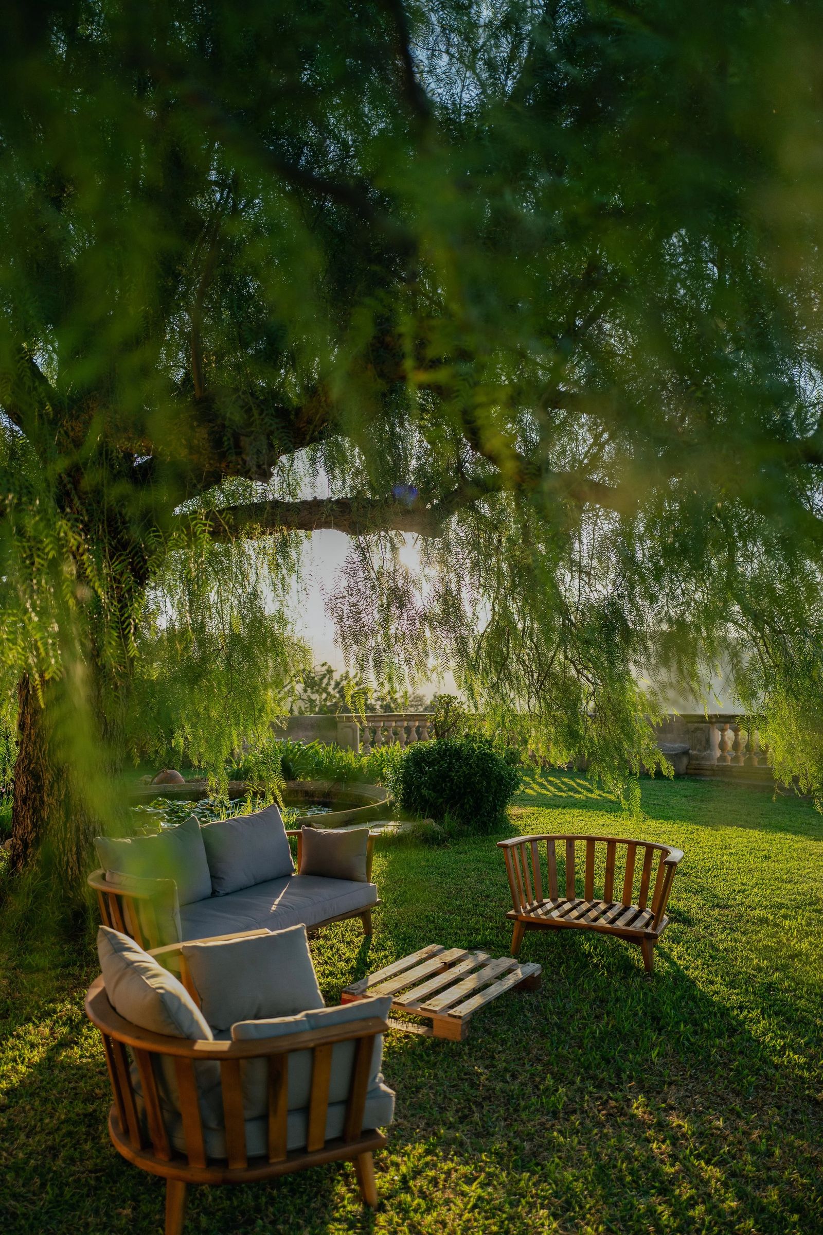 Garden lounge chairs resting under a tree at a Mallorcan finca retreat