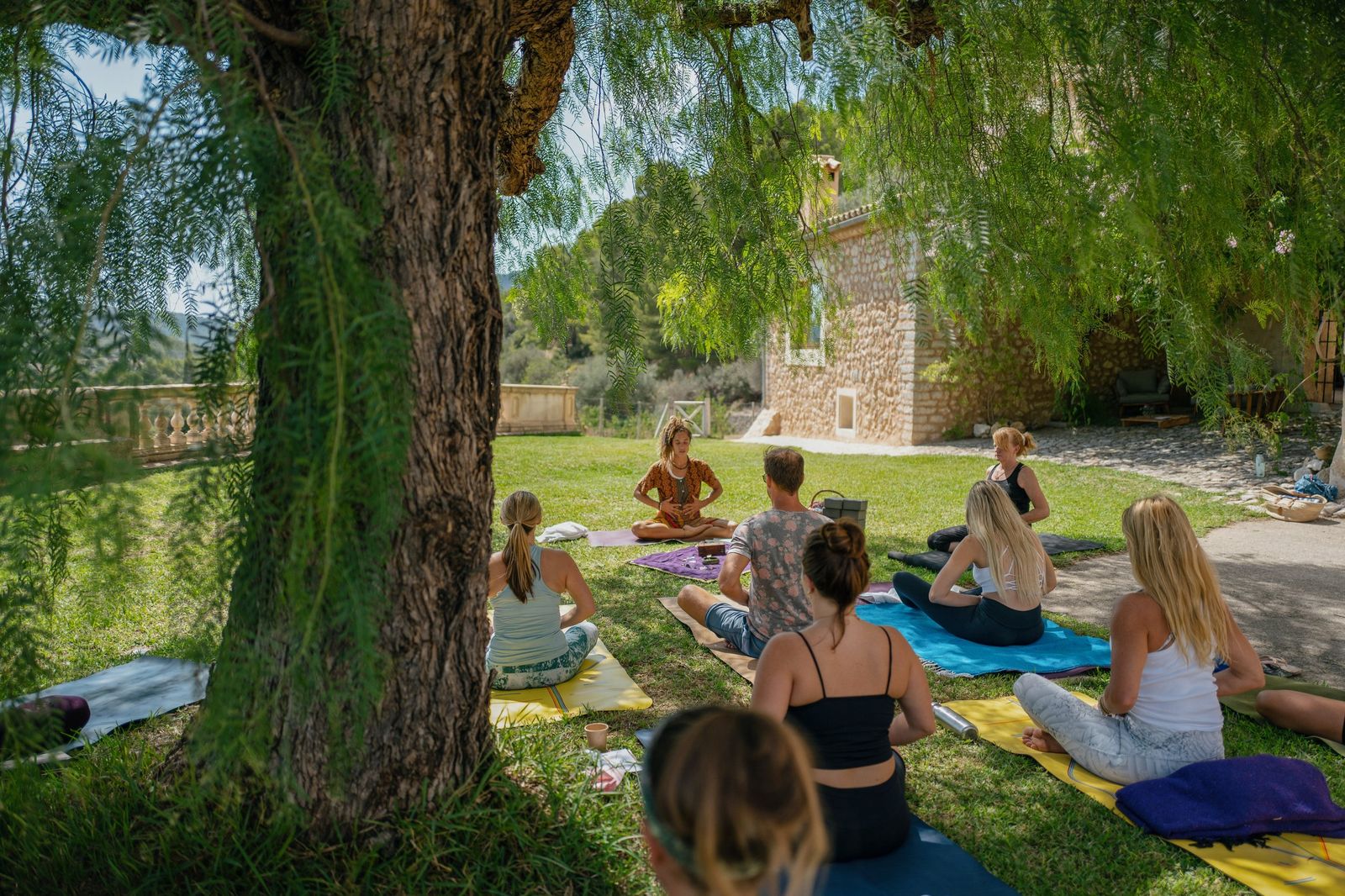Group meditation under a willow tree at a Mallorcan finca retreat